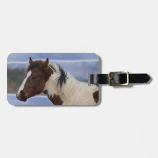 Tri-Coloured Horse Luggage Tag