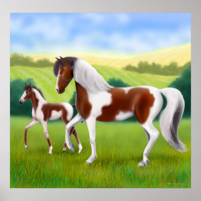Tri Coloured Paint Horse and Foal Poster (Front)