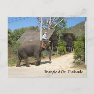 Triangle d'Or, Thailande Postcard