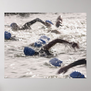 Triathletes competing in swim leg of triathlon. poster