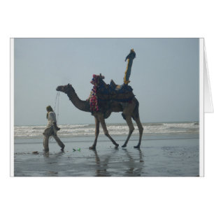 Tribal Camel Ride: Morning Tide Sands & Sea