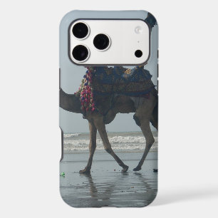Tribal Camel Ride: Morning Tide Sands & Sea