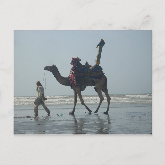 Tribal Camel Ride: Morning Tide Sands & Sea Postcard (Front)