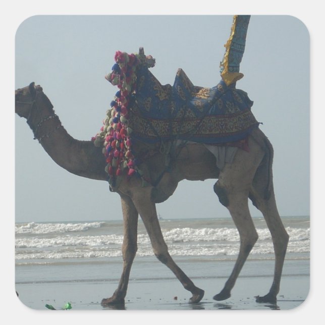 Tribal Camel Ride: Morning Tide Sands & Sea Square Sticker (Front)