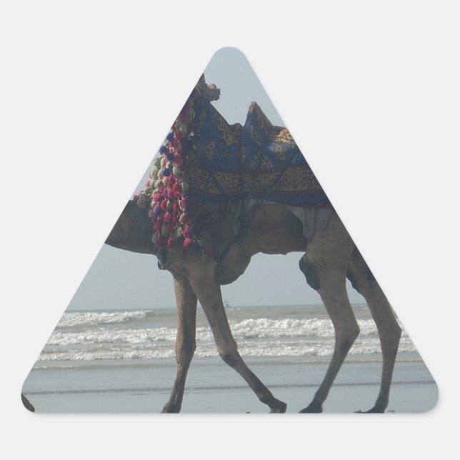 Tribal Camel Ride: Morning Tide Sands & Sea Triangle Sticker (Front)