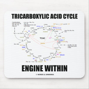 Tricarboxylic Acid Cycle Engine Within Krebs Cycle Mouse Pad