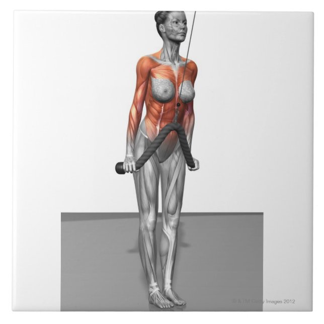 Triceps Push Downs Ceramic Tile (Front)