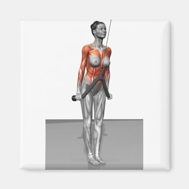 Triceps Push Downs Magnet (Front)