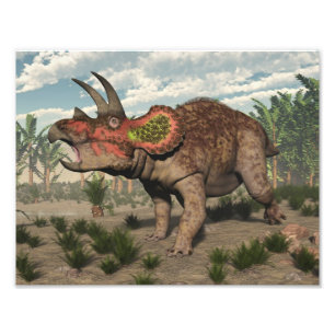 Triceratops dinosaur - 3D render Photo Print