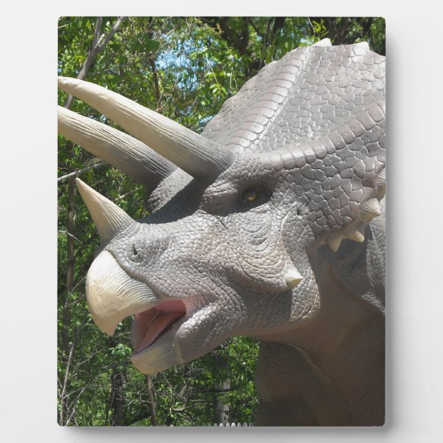 Triceratops dinosaur plaque (Front)