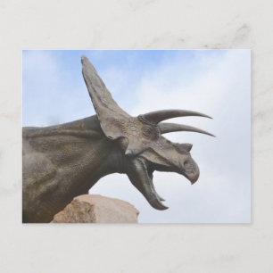 Triceratops Dinosaur Postcard