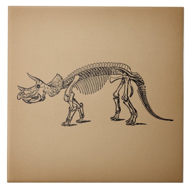 Triceratops Dinosaur Skeleton Prehistoric Art Ceramic Tile (Front)