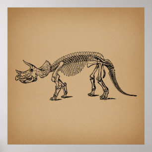 Triceratops Dinosaur Skeleton Prehistoric Art Poster