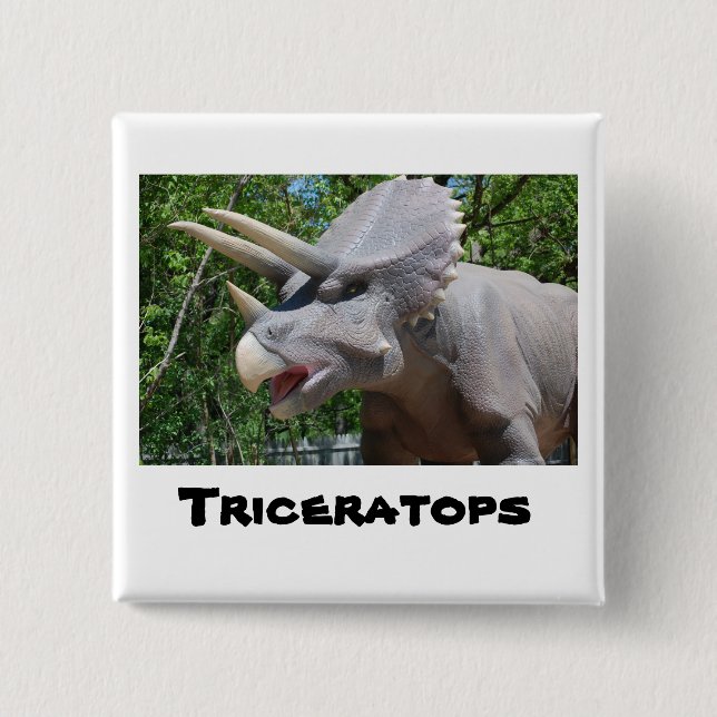 Triceratops Dinosaurs 15 Cm Square Badge (Front)