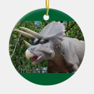 Triceratops Dinosaurs Ceramic Tree Decoration
