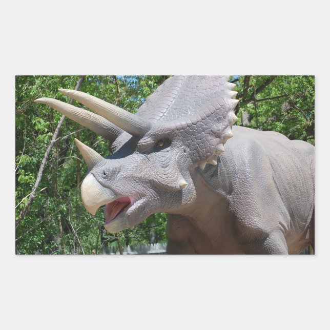 Triceratops Dinosaurs Rectangular Sticker (Front)