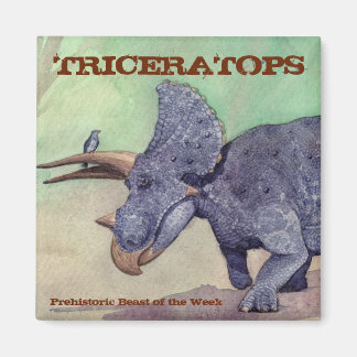Triceratops Magnet