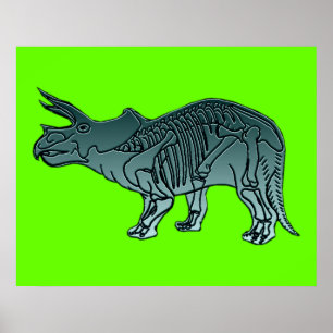 Triceratops Poster