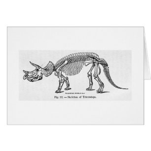 Triceratops skeleton art card