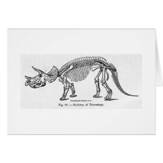 Triceratops skeleton art card
