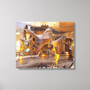 Triceratops Skeleton Canvas Print
