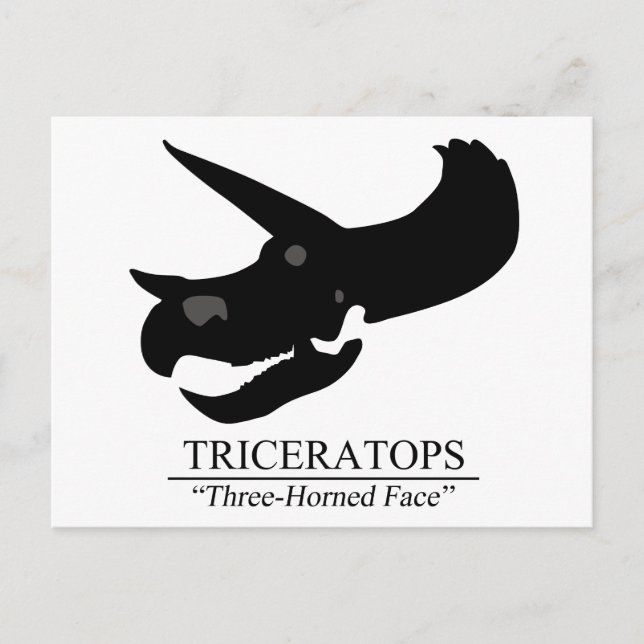 Triceratops Skull Postcard (Front)