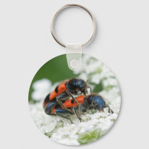 Trichodes apiarius key ring