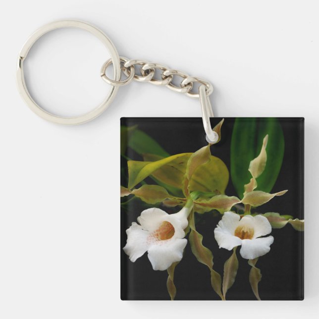 Trichopilia Tortilis Key Ring (Front)