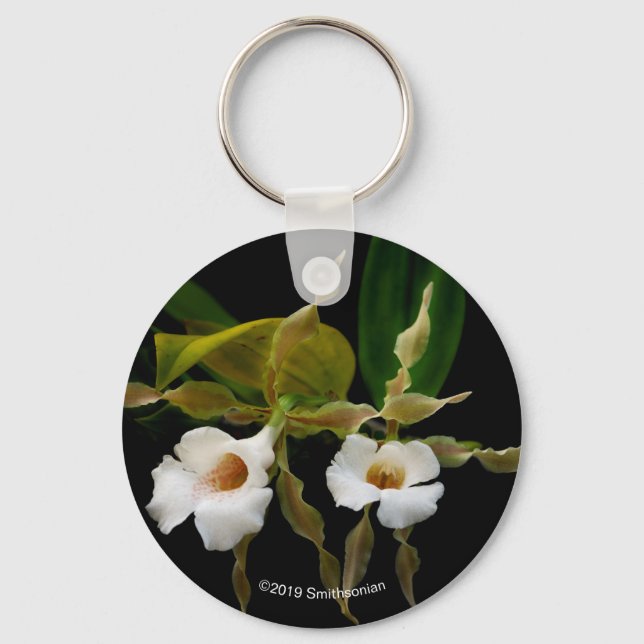Trichopilia Tortilis Key Ring (Front)
