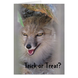 Trick Or Treat?