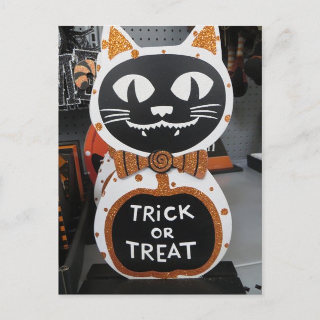 Trick Or Treat Cat Postcard (Front)