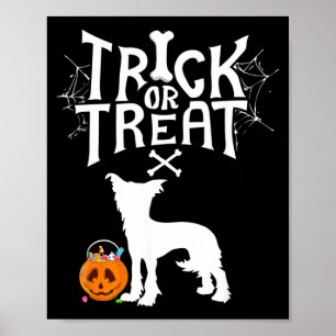 Trick Or Treat Chinese Crested Halloween Dog Poster