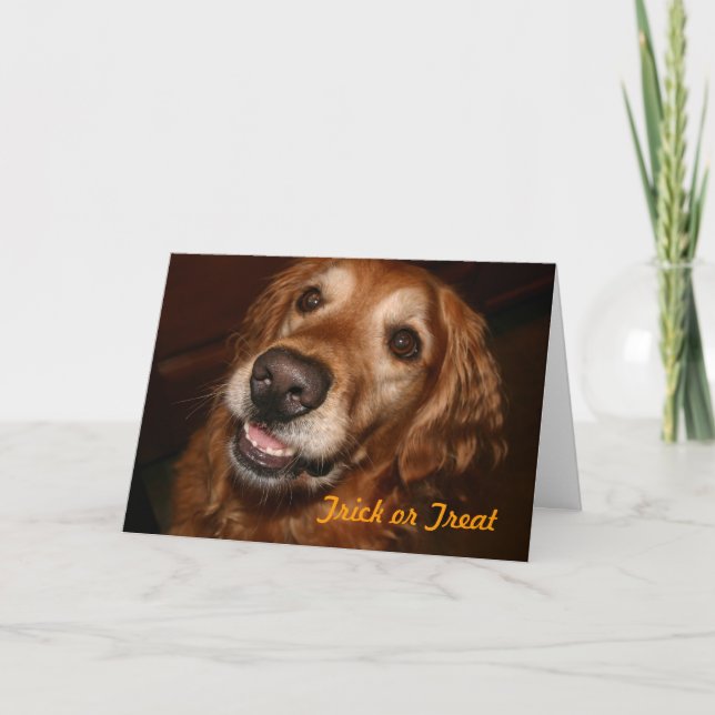 Trick or Treat Dog Card (Front)