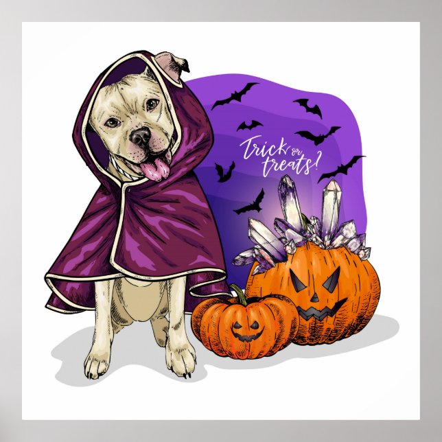 Trick Or Treat Dog Poster (Front)