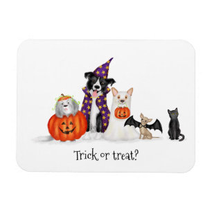 Trick or treat? Dogs in Halloween costumes magnet