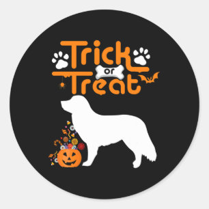 Trick Or Treat Duck Tolling Retriever Dog Hallowee Classic Round Sticker