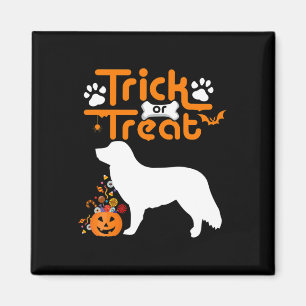 Trick Or Treat Duck Tolling Retriever Dog Hallowee Magnet