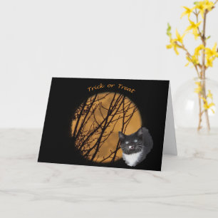 Trick or treat Halloween black cat & moon  Card