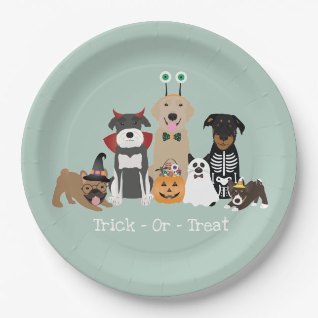 Trick Or Treat Happy Halloween Spooky Pet Costumes Paper Plate (Front)