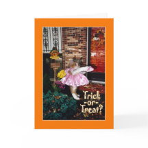 Trick-or-Treat Kitty - Happy Halloween!