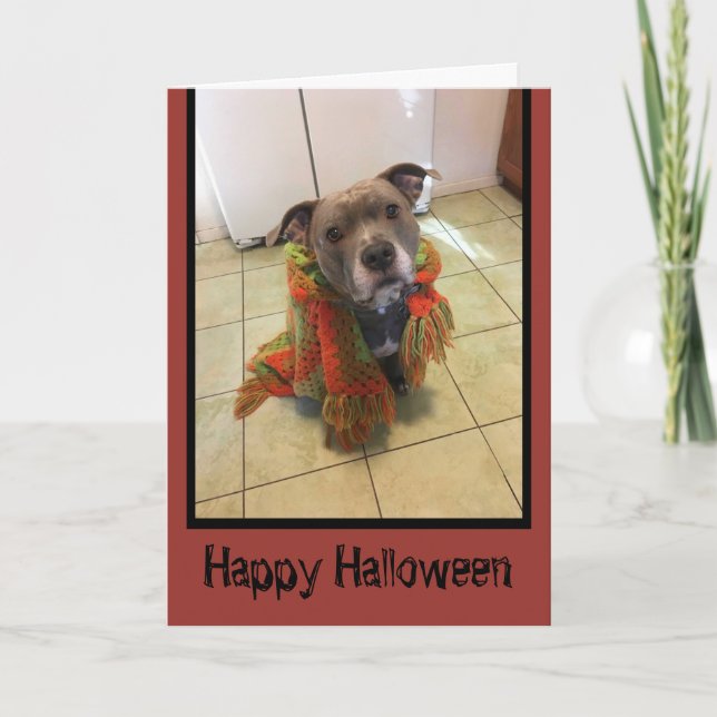 Trick or Treat Pitbull Halloween Card (Front)