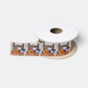 Trick or Treat Satin Ribbon