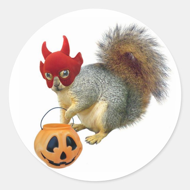 Trick or Treat Squirrel Classic Round Sticker (Front)