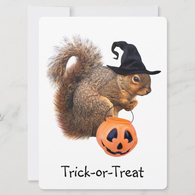 Trick or Treat Squirrel Halloween Party Invitation (Front)