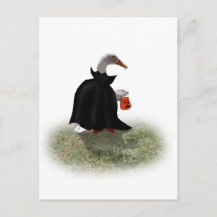 Trick or Treat Time for Dracula Duck Postcard