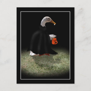 Trick or Treat Time for Dracula Duck Postcard
