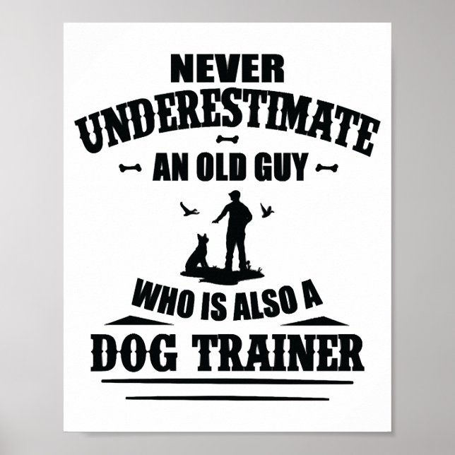 Tricks Dog Training Dogs Dog Trainer Dog School Poster (Front)
