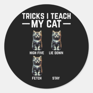 Tricks I Teach My Cat - Funny Cat Owner Kitten Dad Classic Round Sticker