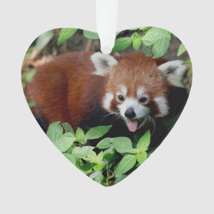 Tricksy Red Panda, Customisable Ornament