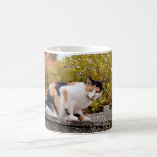 Tricolor cat coffee mug